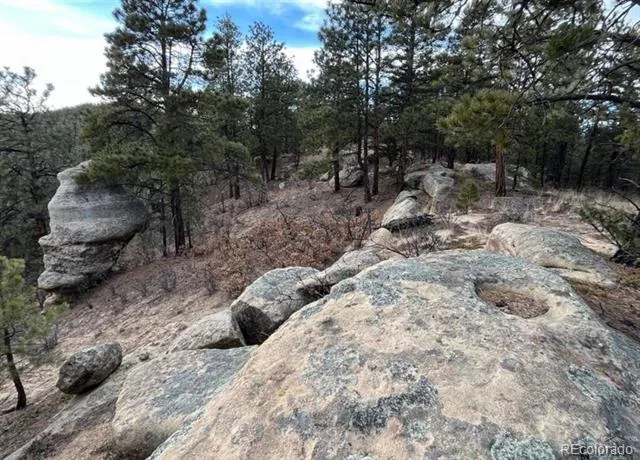 11491 Chinook Drive Weston, CO 81091