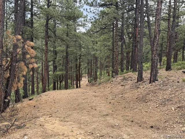 11491 Chinook Drive Weston, CO 81091