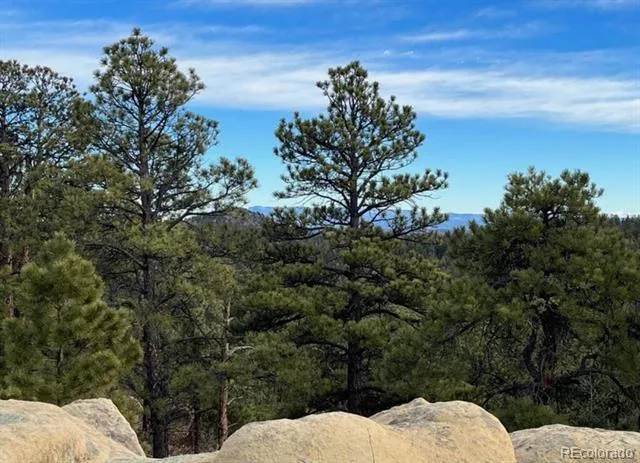 11491 Chinook Drive Weston, CO 81091