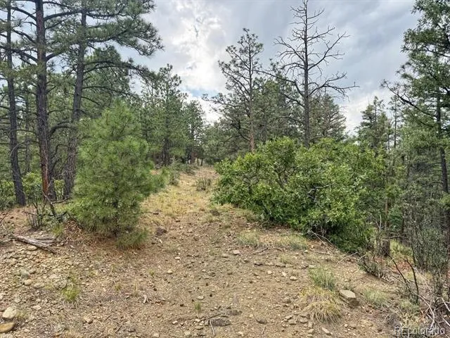 11491 Chinook Drive Weston, CO 81091