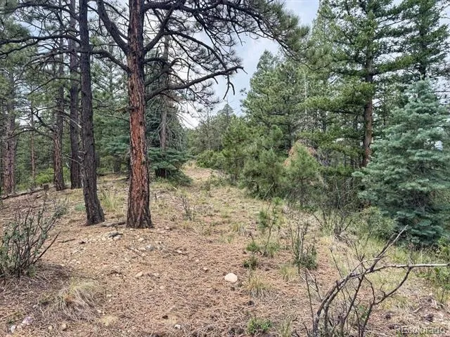 11491 Chinook Drive Weston, CO 81091