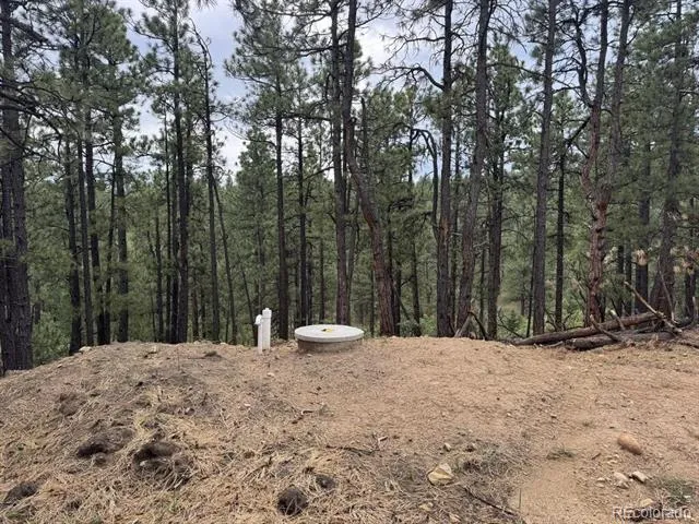 11491 Chinook Drive Weston, CO 81091
