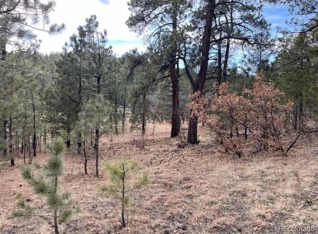 11491 Chinook Drive Weston, CO 81091