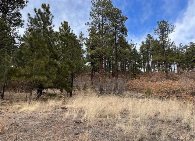 11491 Chinook Drive Weston, CO 81091