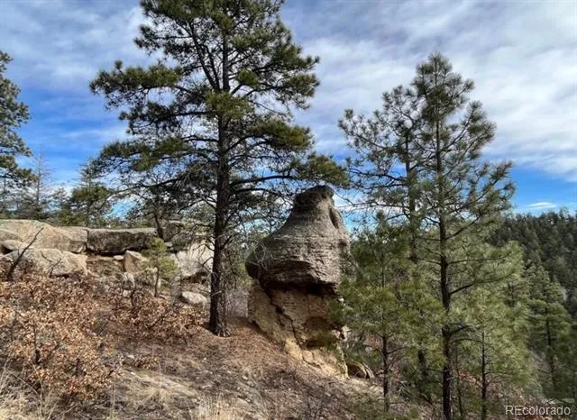 11491 Chinook Drive Weston, CO 81091