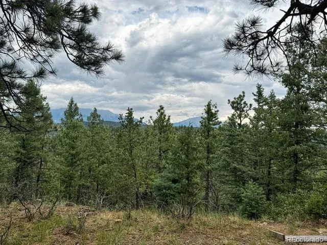 11491 Chinook Drive Weston, CO 81091