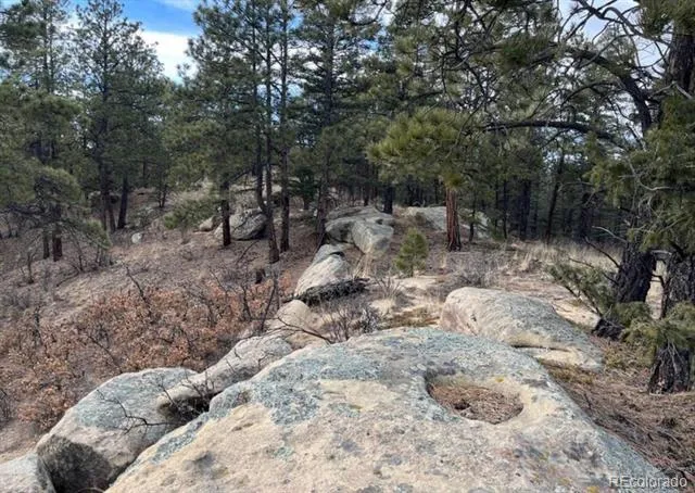 11491 Chinook Drive Weston, CO 81091