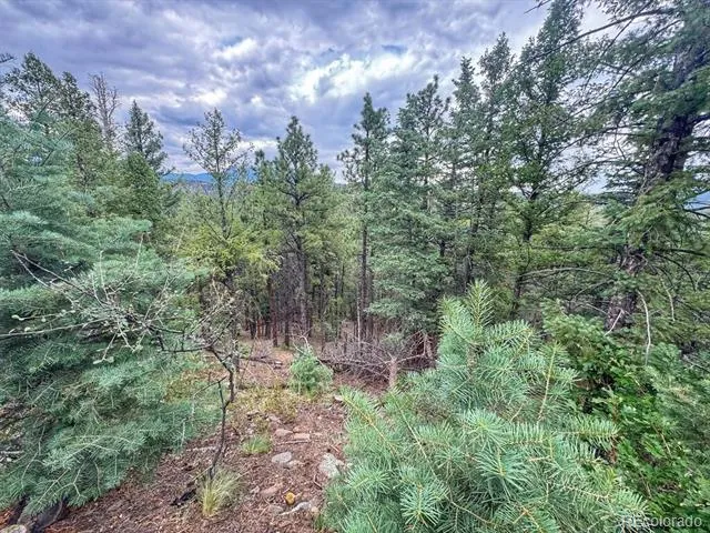 11491 Chinook Drive Weston, CO 81091