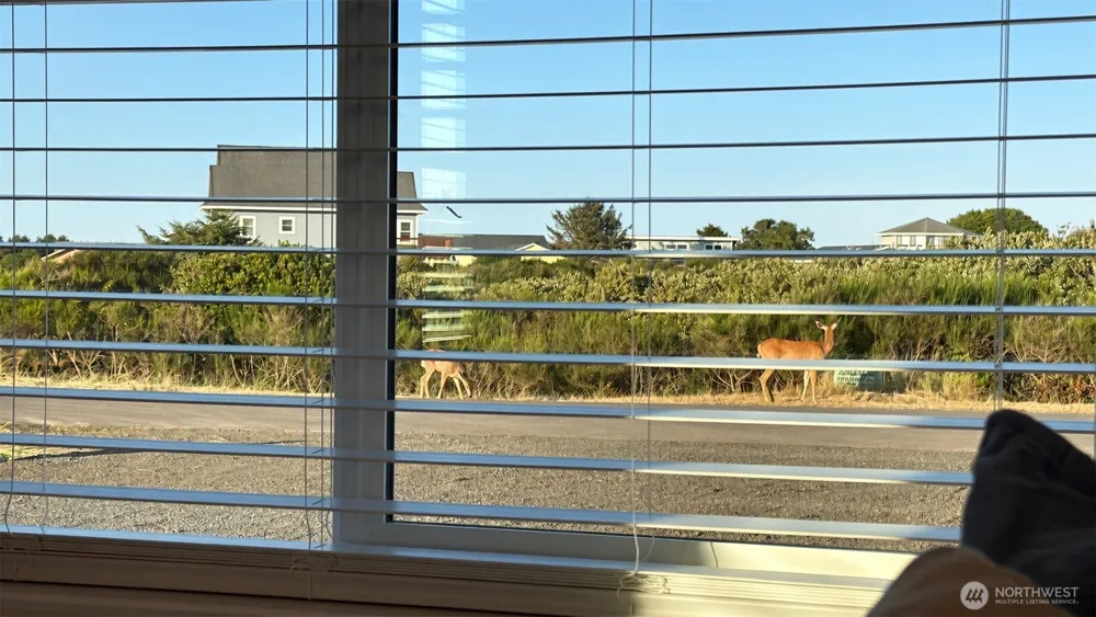 1401 Diamond Head Avenue SW Ocean Shores, WA 98569