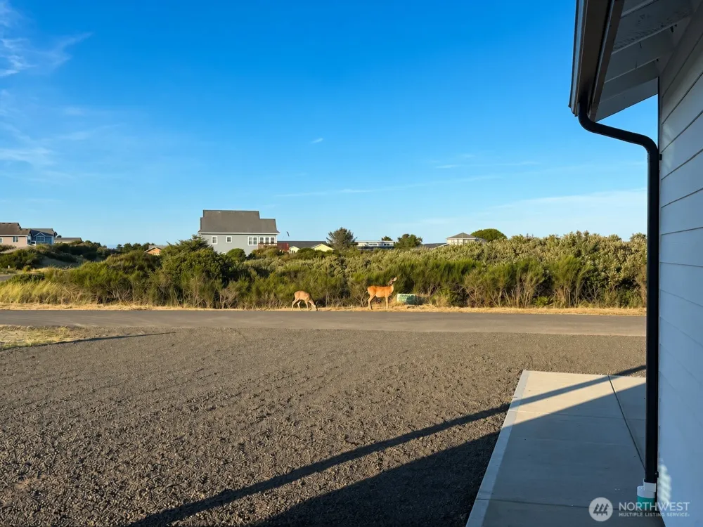 1401 Diamond Head Avenue SW Ocean Shores, WA 98569