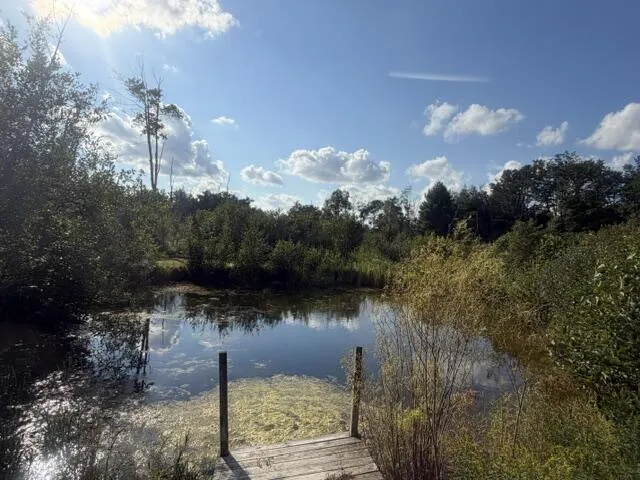 2029 E 6 Mile Road Monroe Township, MI 49349