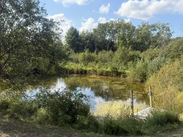 2029 E 6 Mile Road Monroe Township, MI 49349