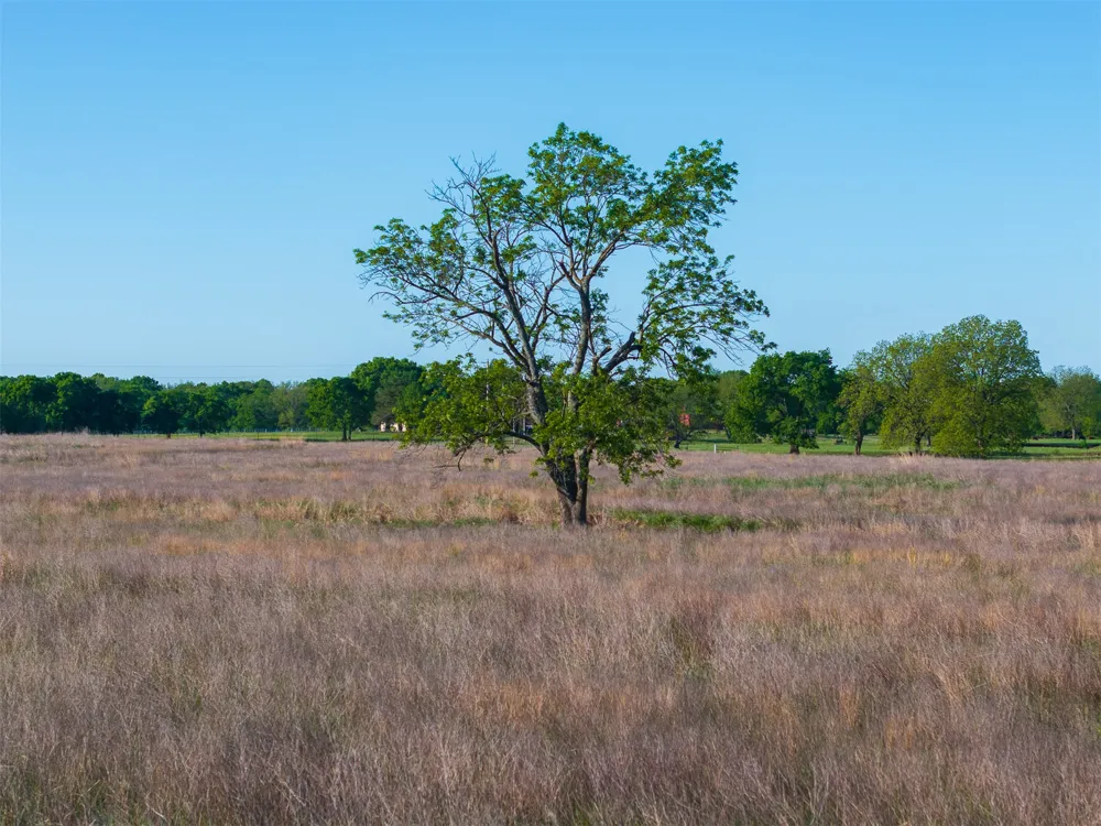 6 300 ROAD Okmulgee, OK 74447
