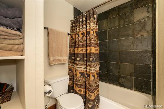 300 Bryant Boulevard ##32 Fraser, CO 80442