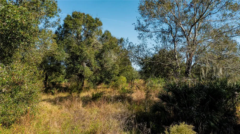 SW CO RD 760A Arcadia, FL 34266