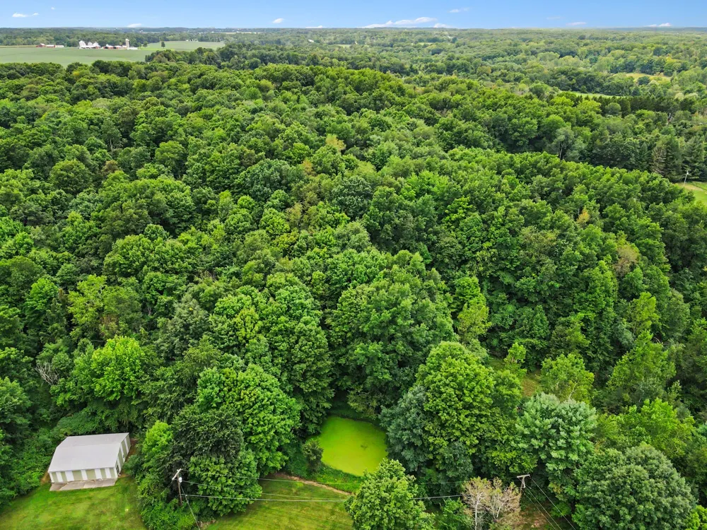 6286 Morrison Lake Road #Lot B Boston Township, MI 48881