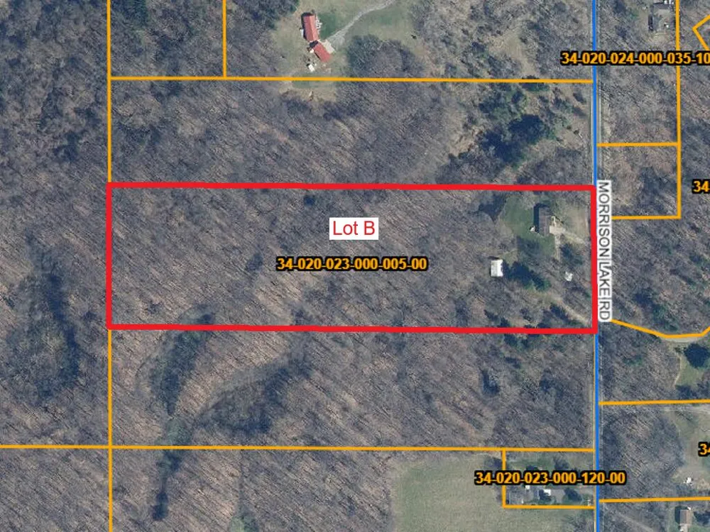 6286 Morrison Lake Road #Lot B Boston Township, MI 48881