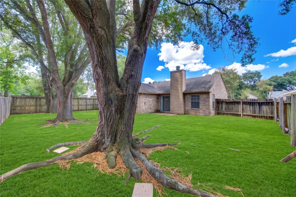 21419 Park Orchard Drive Katy, TX 77450