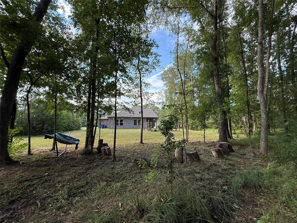 2914 Roman Forest Boulevard New Caney, TX 77357
