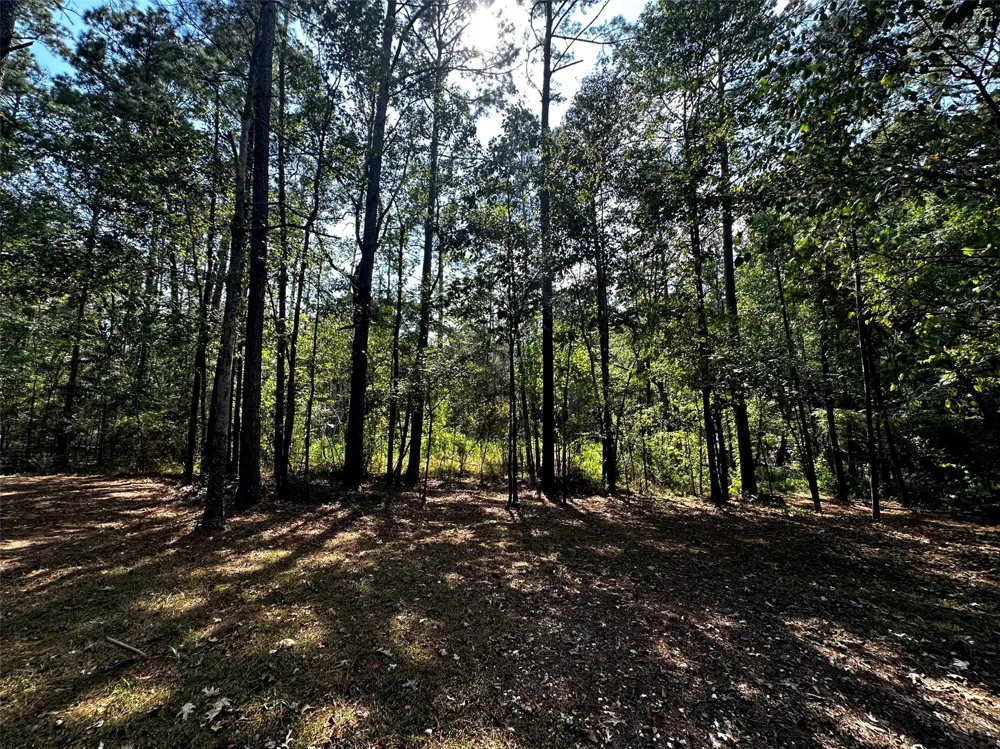 539 Aa Loop Livingston, TX 77351