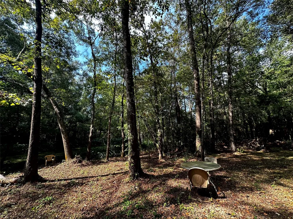 539 Aa Loop Livingston, TX 77351
