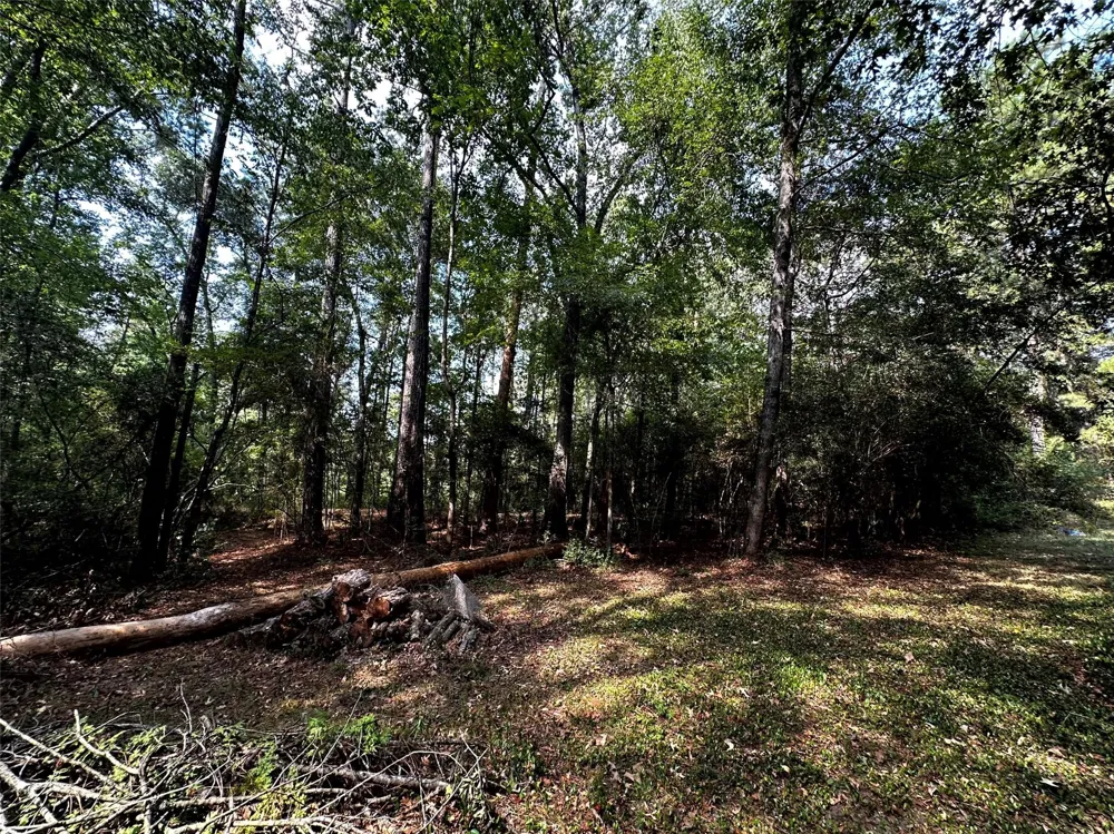 539 Aa Loop Livingston, TX 77351