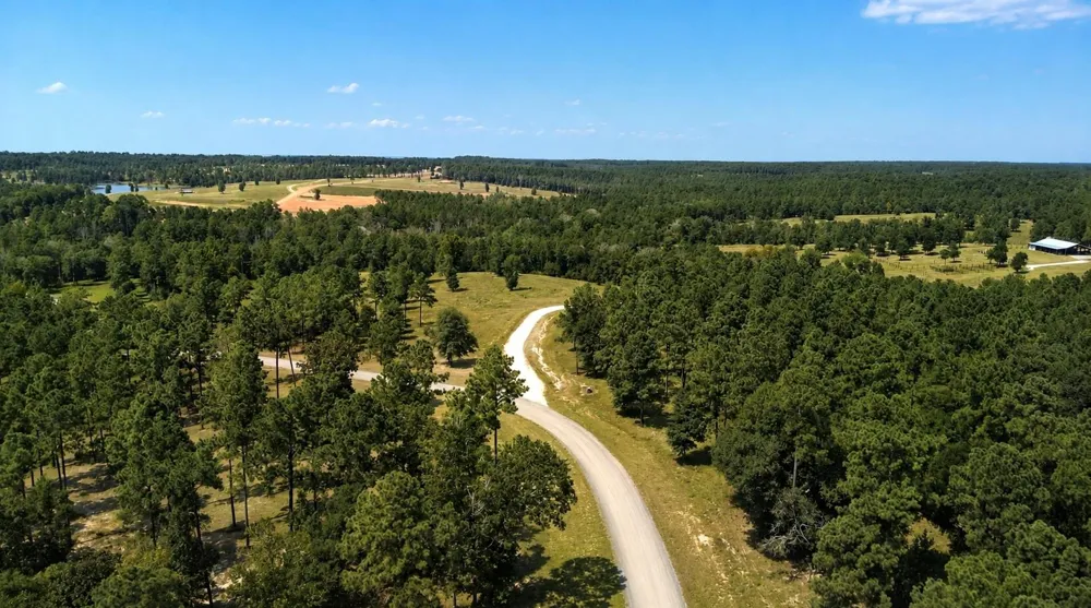 Tranquility Road Livingston, TX 77351