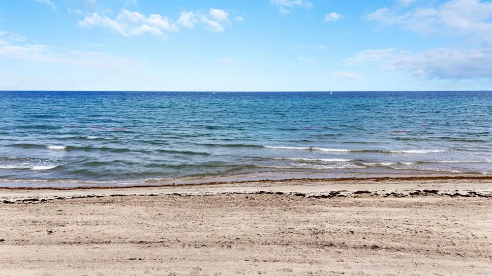 1155 Hillsboro Mile #403 Hillsboro Beach, FL 33062