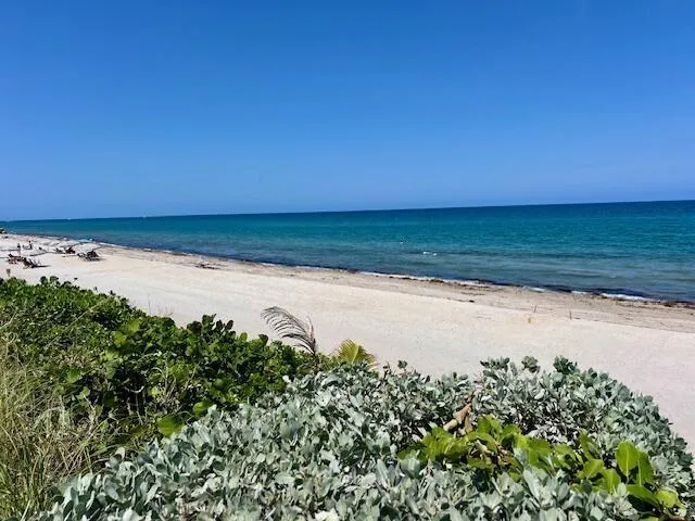 1155 Hillsboro Mile #403 Hillsboro Beach, FL 33062