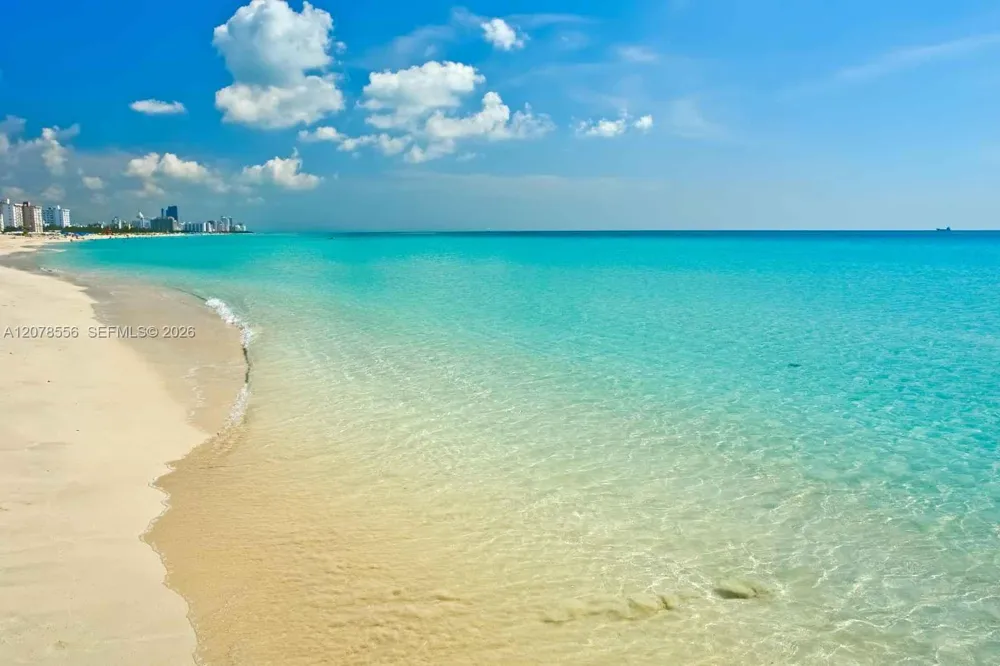 3605 Indian Creek Dr #203 Miami Beach, FL 33140