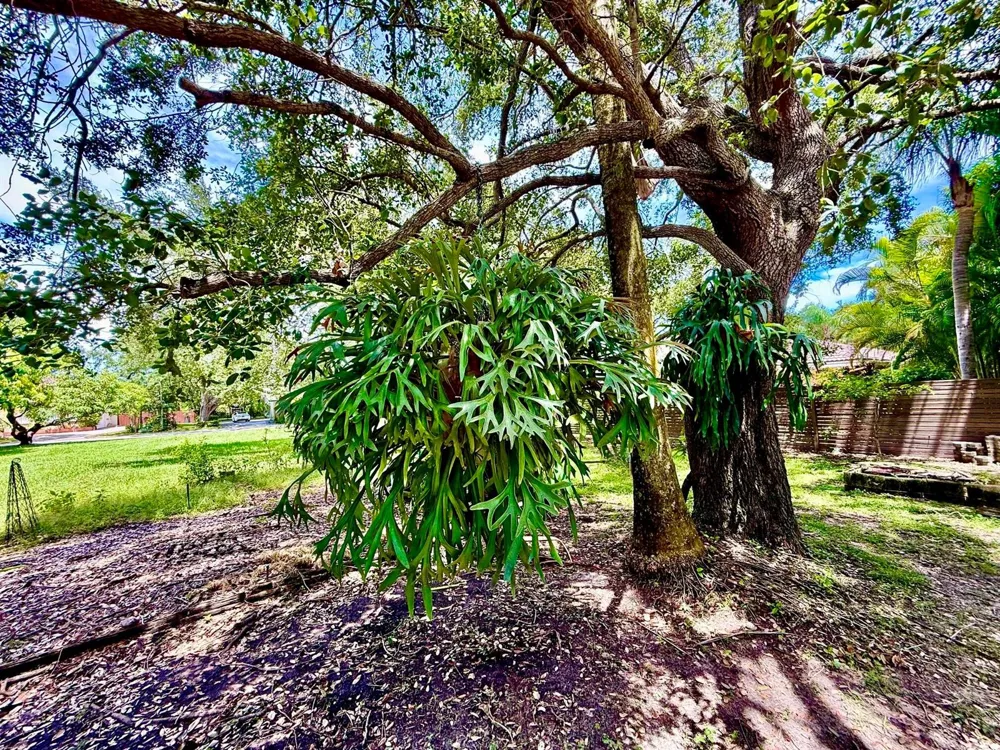 7940 SW 166TH STREET Palmetto Bay, FL 33157