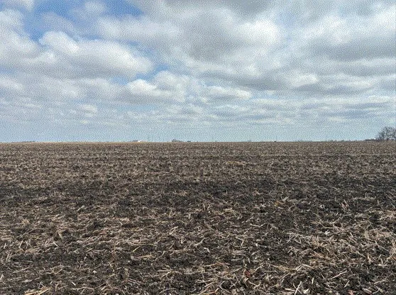 3061 lot 2 Highway Thorndale, TX 76577