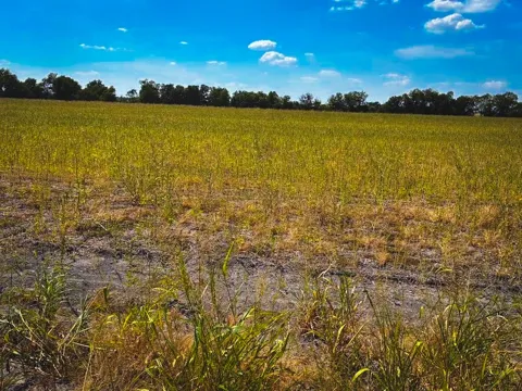 3061 lot 2 Highway