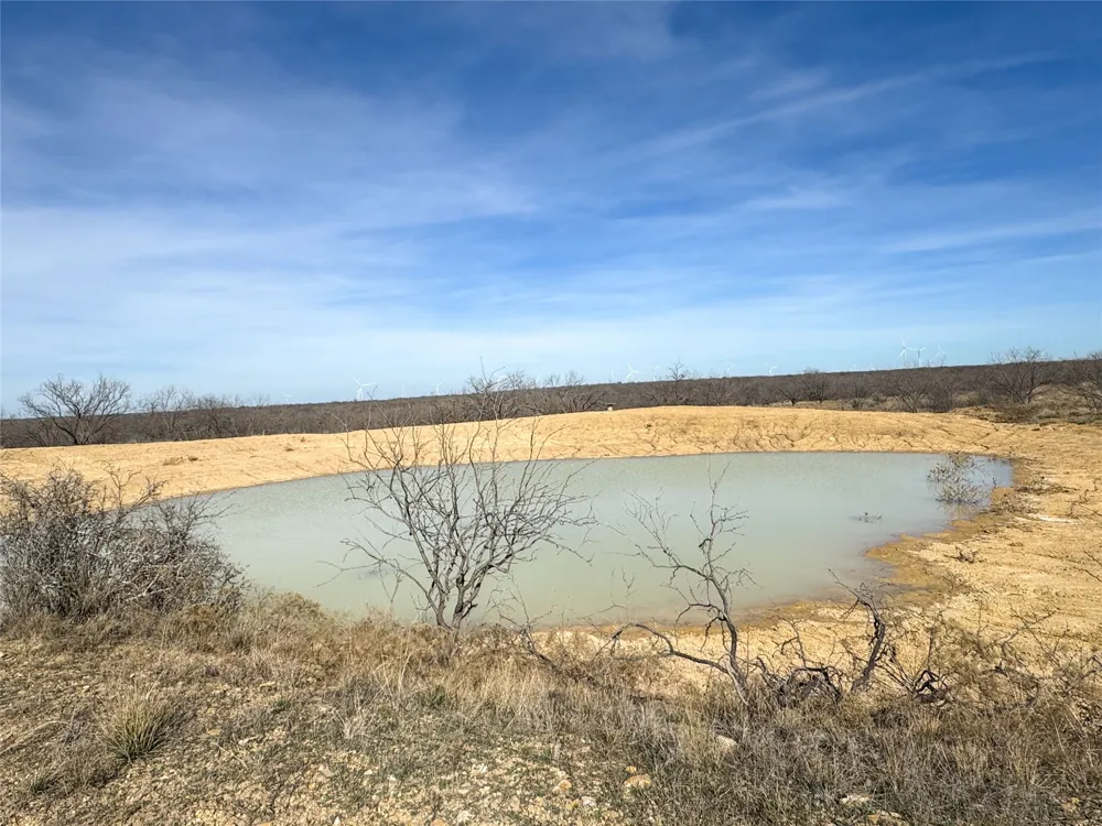 10674 County Road 312 Moran, TX 76464