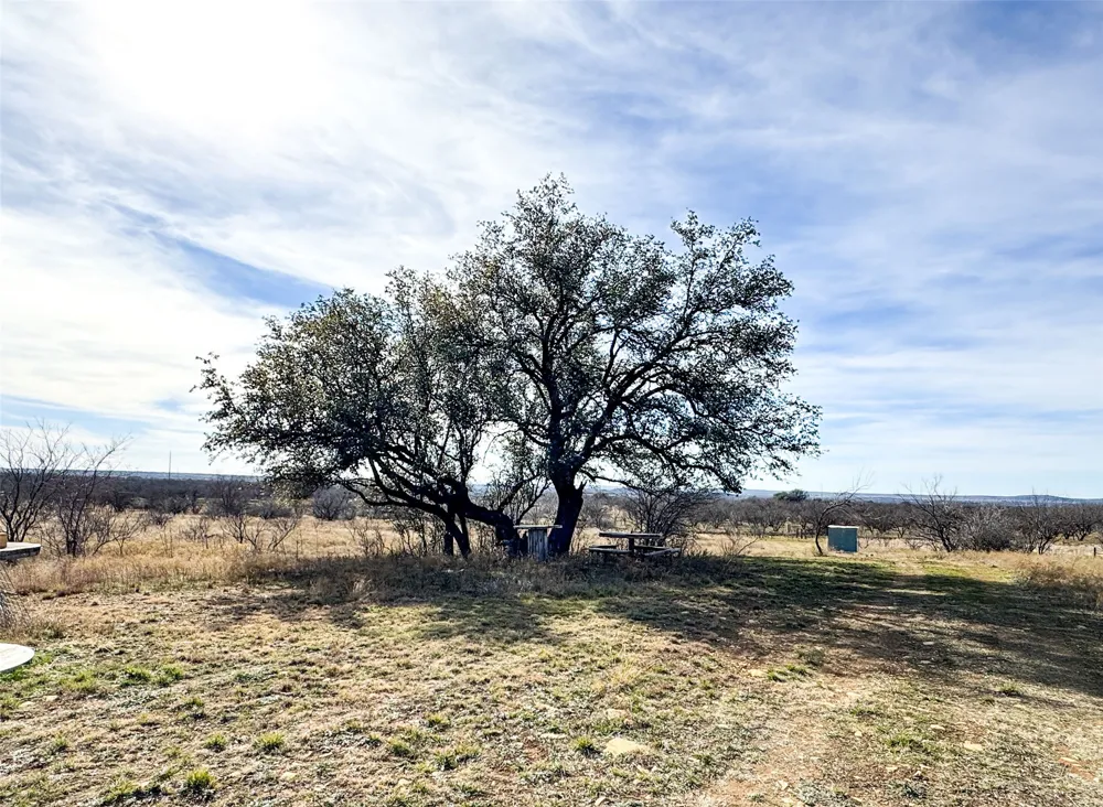 10674 County Road 312 Moran, TX 76464