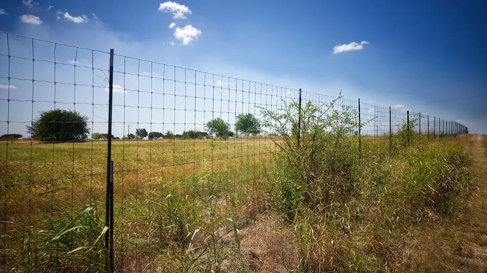 County Road 409 Hamilton, TX 76531