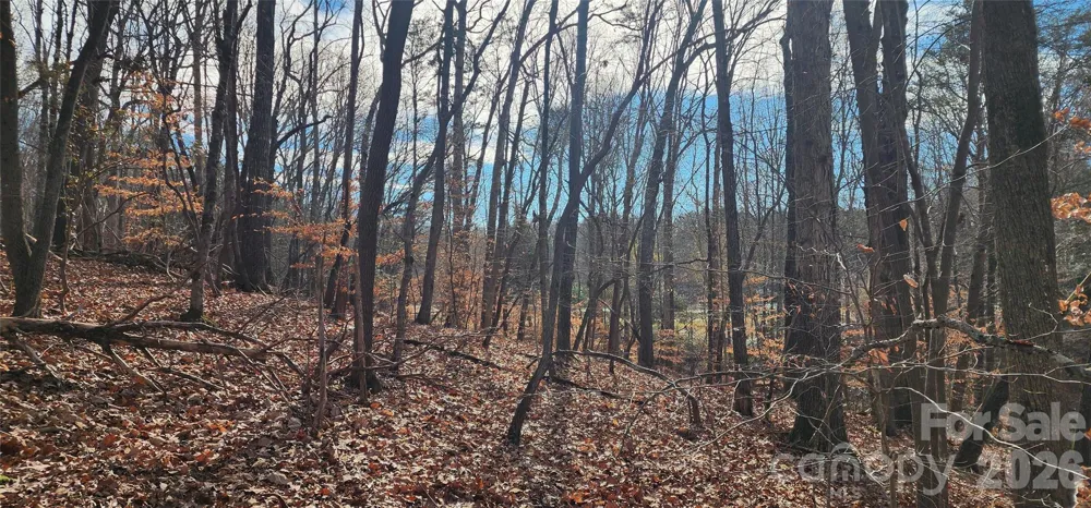 128 Hughey Lake Road Blacksburg, SC 29702