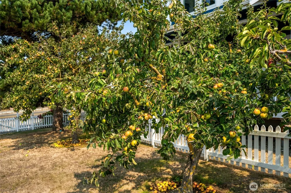 3962 Saltspring Drive Ferndale, WA 98248
