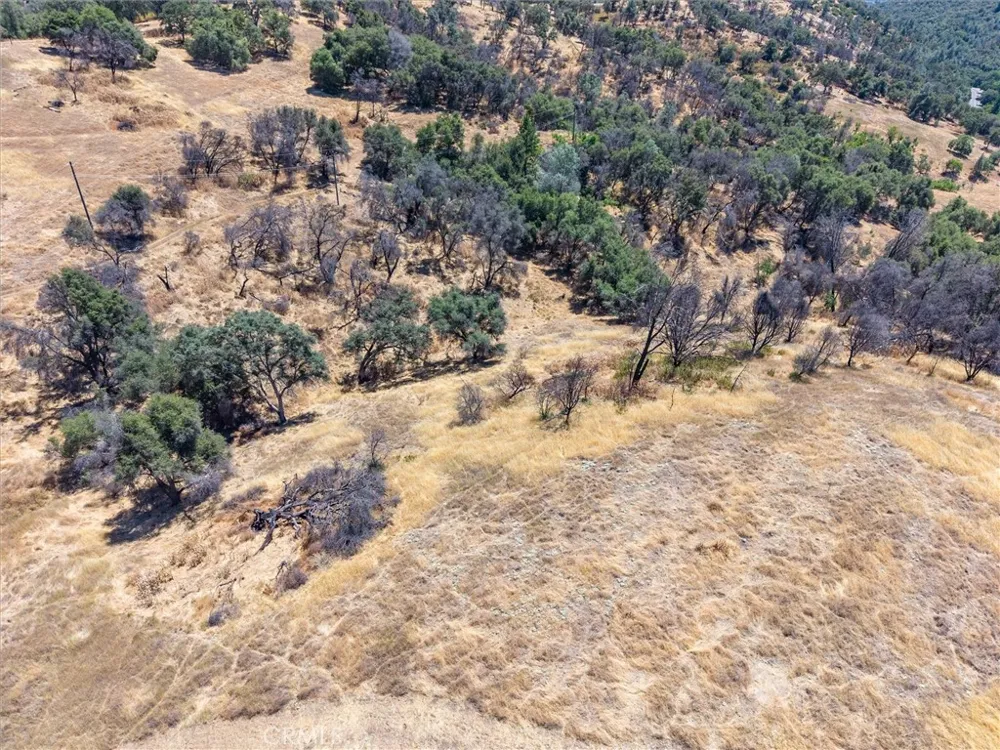 Jones Street Mariposa, CA 95338