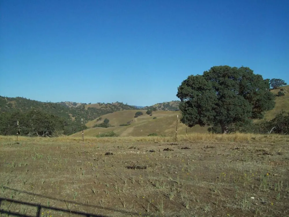 20077 Panoche Tres Pinos, CA 95075