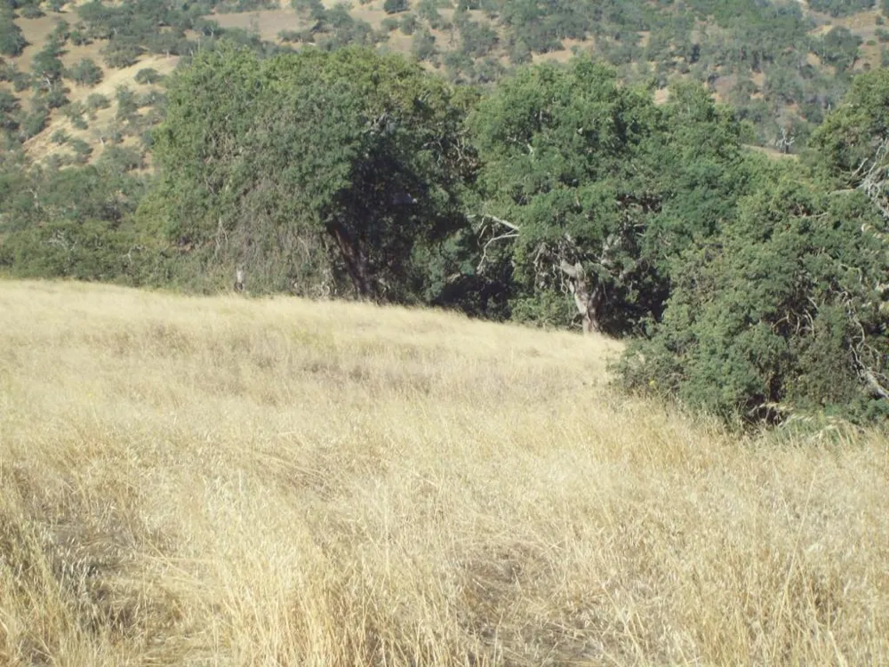 20077 Panoche Tres Pinos, CA 95075
