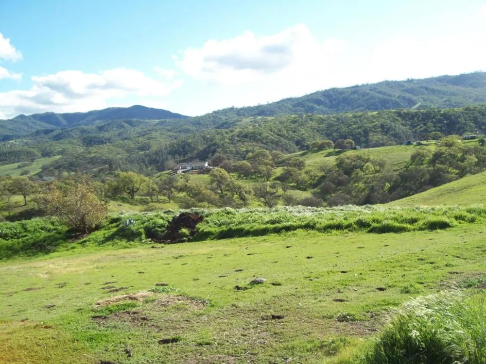 20077 Panoche Tres Pinos, CA 95075