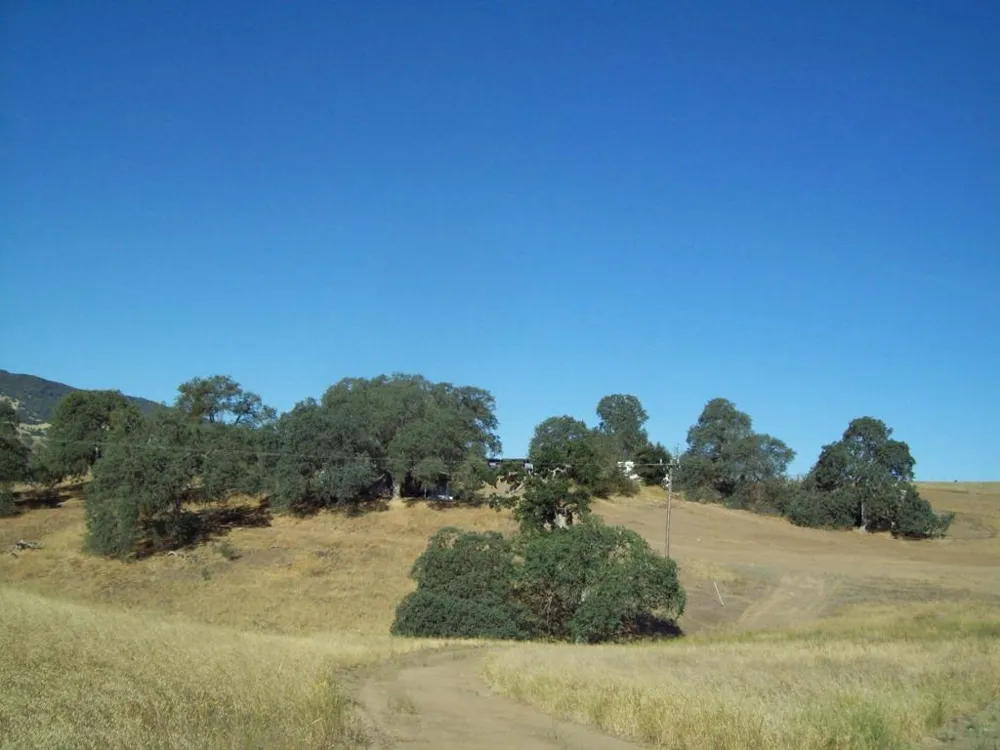 20077 Panoche Tres Pinos, CA 95075