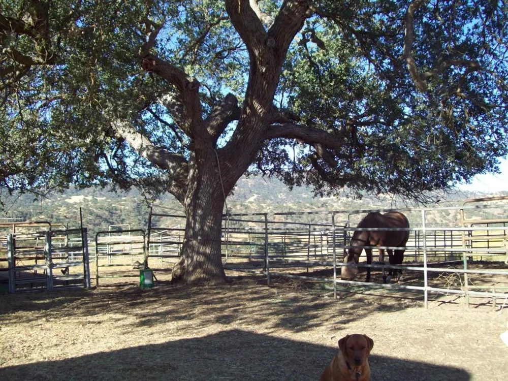20077 Panoche Tres Pinos, CA 95075