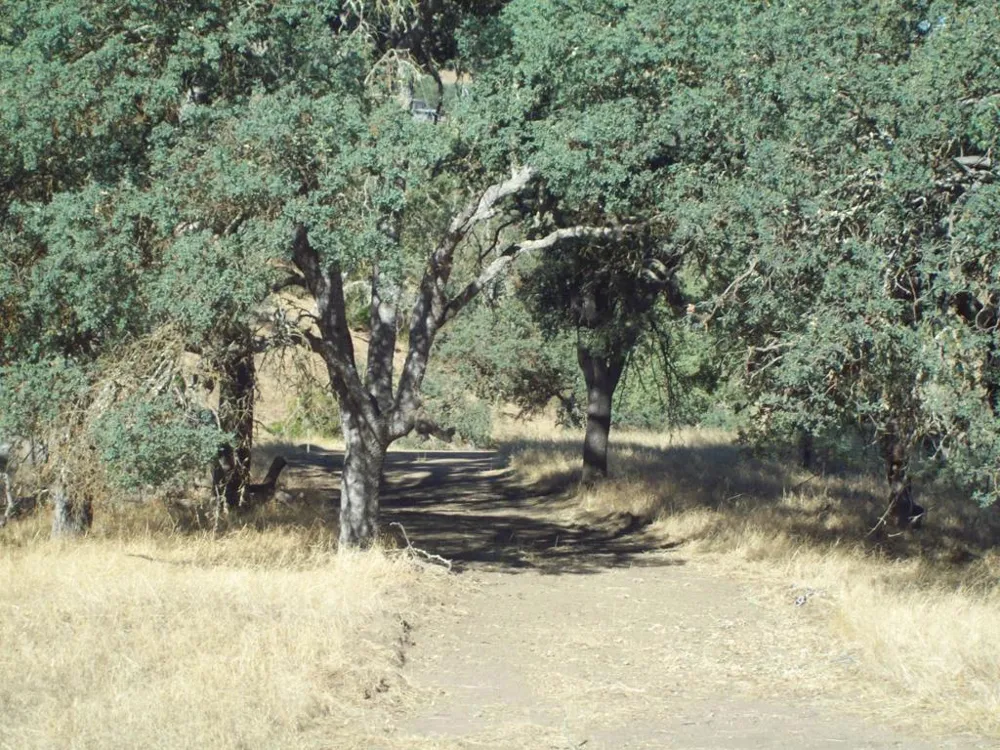 20077 Panoche Tres Pinos, CA 95075