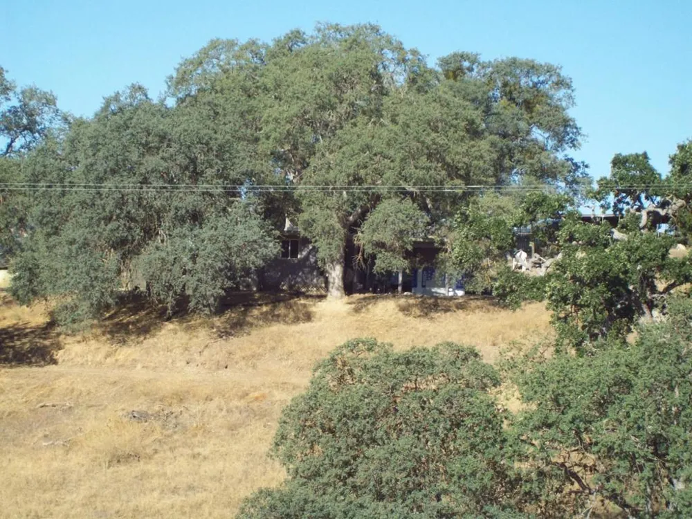 20077 Panoche Tres Pinos, CA 95075