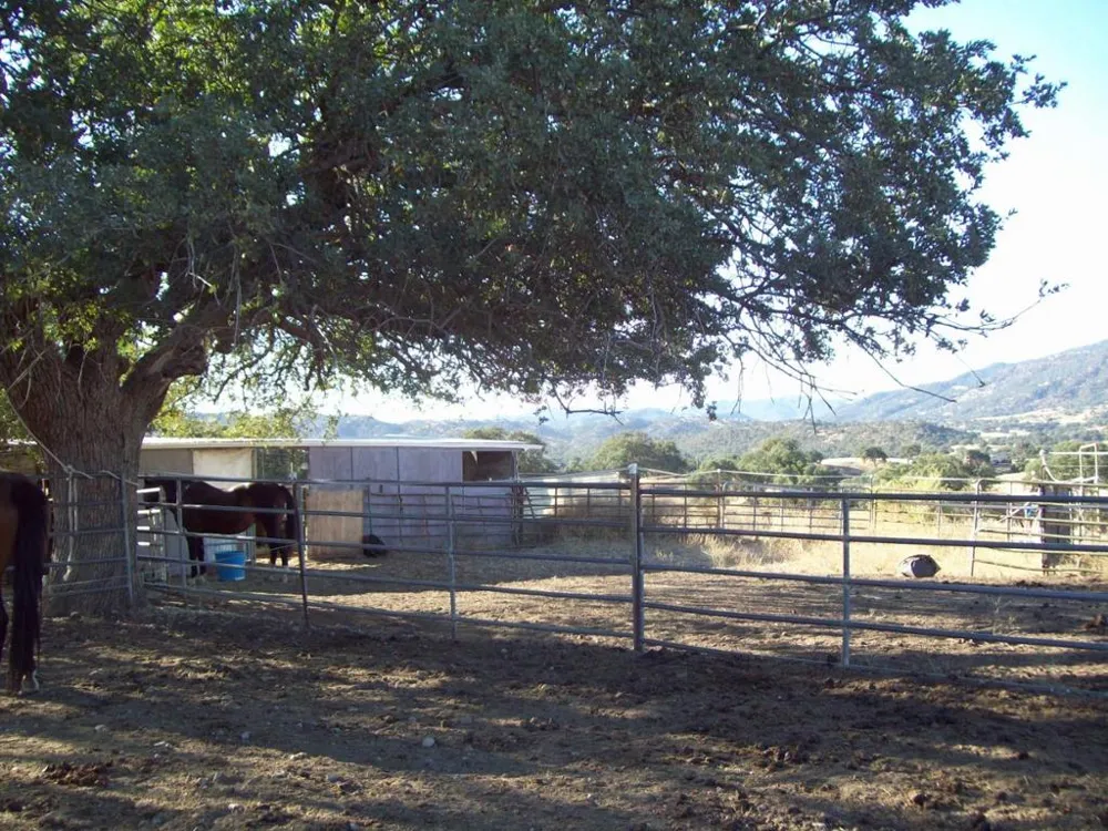 20077 Panoche Tres Pinos, CA 95075