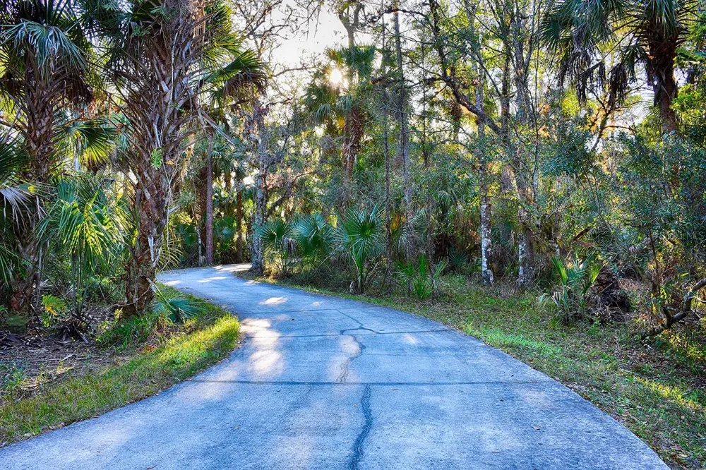 205 SAND PIPER DRIVE Poinciana, FL 34759
