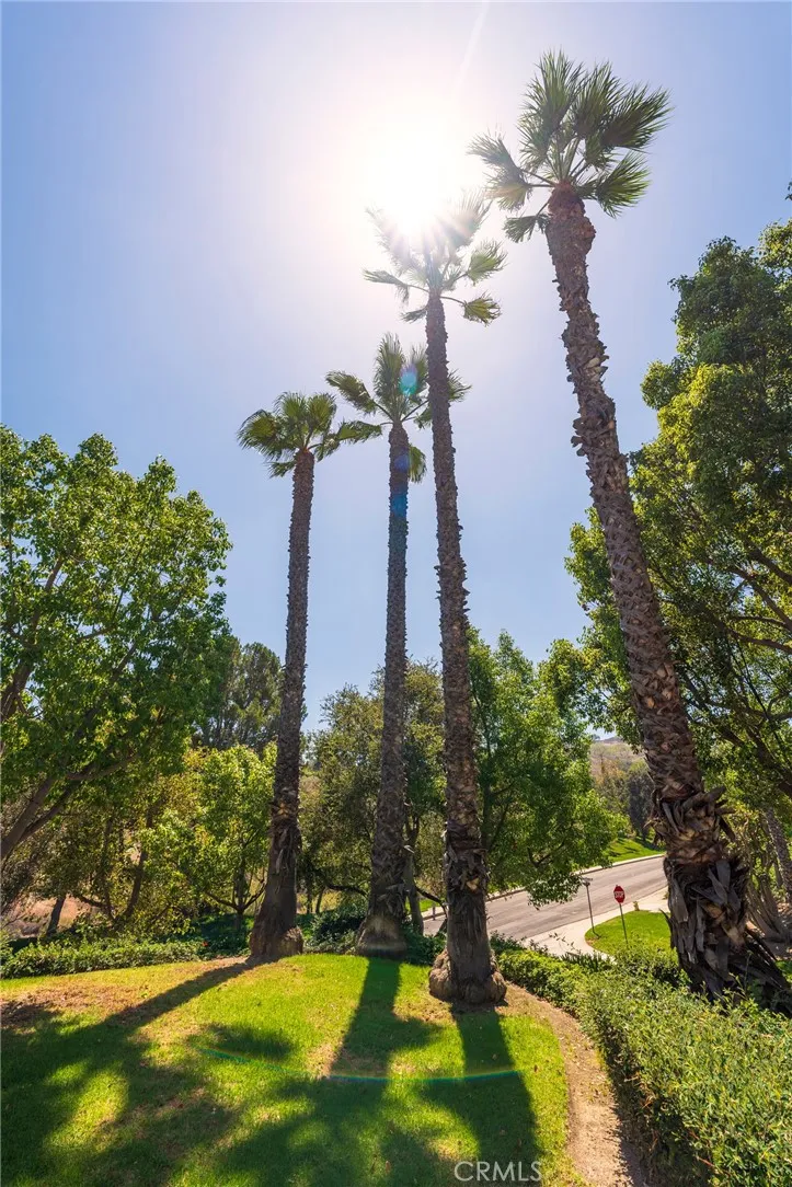 6097 E Montefino Anaheim, CA 92807