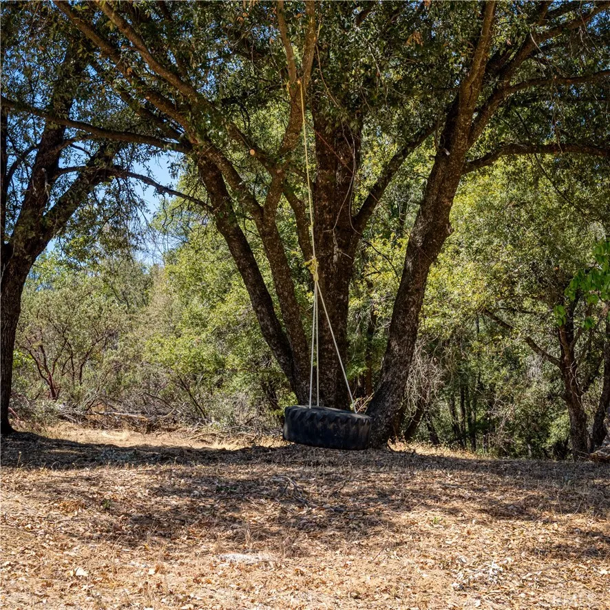 43696 Whispering Pines Drive Oakhurst, CA 93644